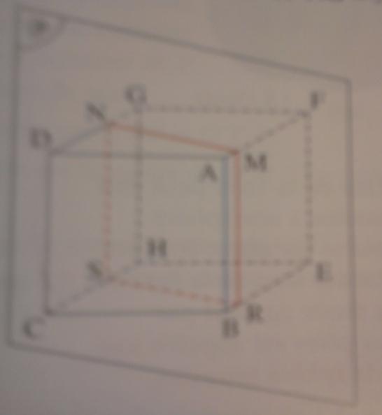 Exercice section de solide 3eme - Maths (2)