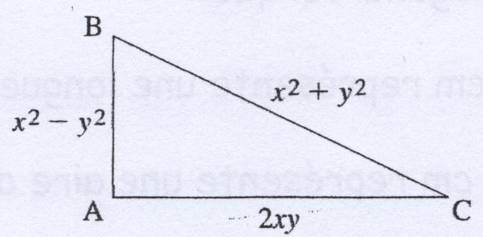 Exercice mêlant Pythagore et équations (mais surtout équations)