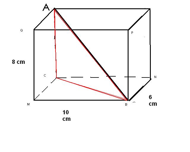 c�t�