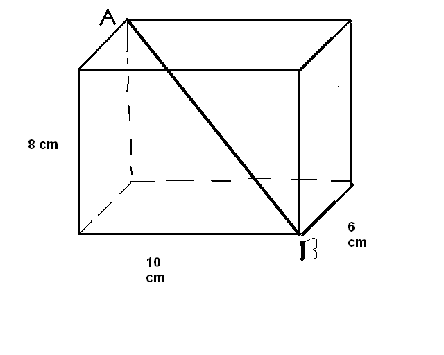 c�t�