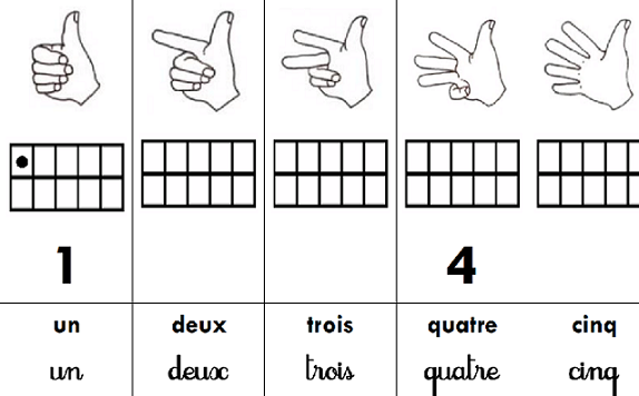 Joute n�8 : Jacquadomia