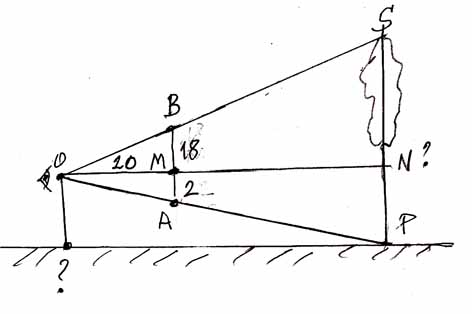 comment mesurer la hauteur d'un arbre ??? D-M 3ème : exercice de