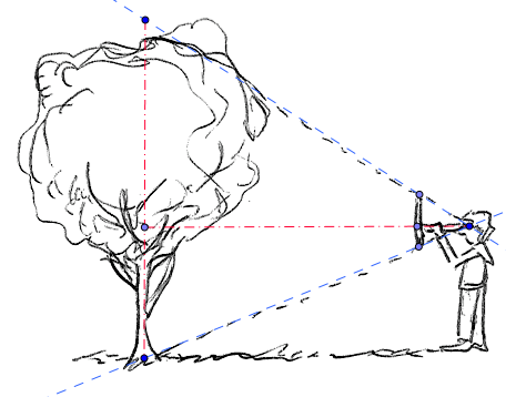 comment mesurer la hauteur d'un arbre ??? D-M 3ème : exercice de