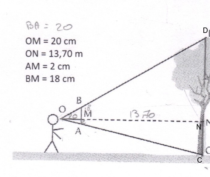 comment mesurer la hauteur d'un arbre ??? D-M 3ème : exercice de