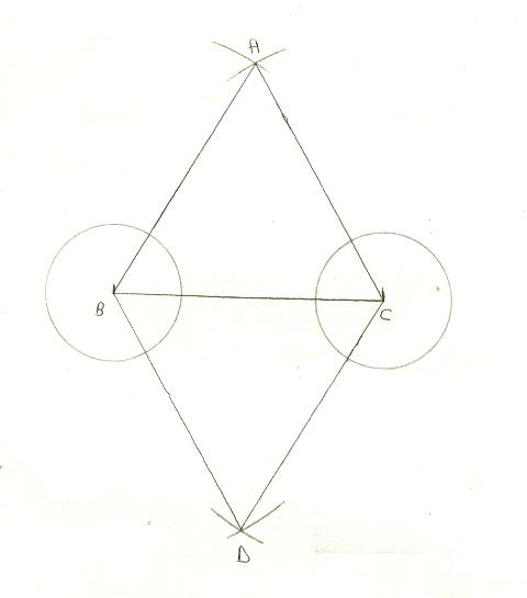 quadrilatere