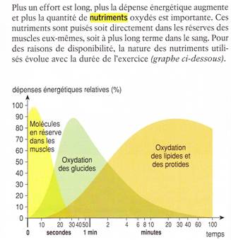 DM de maths sur les nutriments.