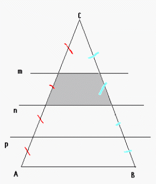 Combien de cm pour le triangle ?