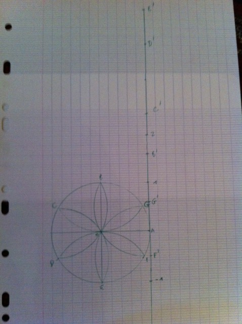 Activit� cercle trigonom�trique.