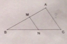 Triangle avec droites parallles.