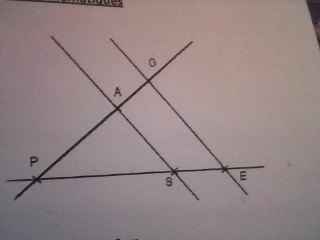 Calculer une diagonale avec Thals