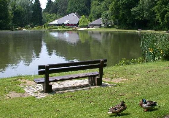 Joute n�94 : Le tour du lac 