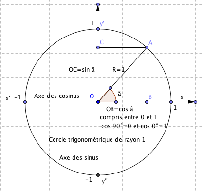 exercise de math cosinus