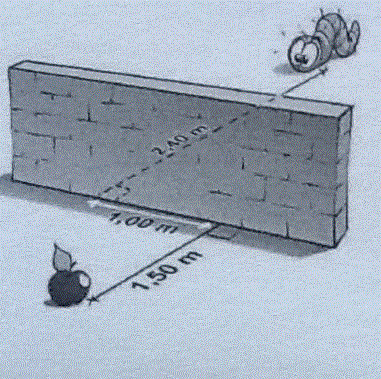 La chenille, le mur et la pomme.