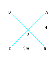 DM  pyramide + cone 