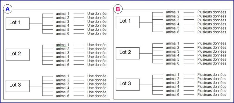Quel test statistique choisir ???