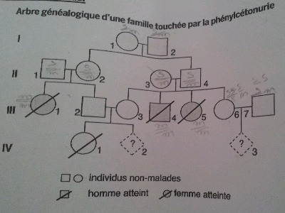 trouvé genotype