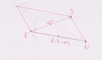 parallelogramme