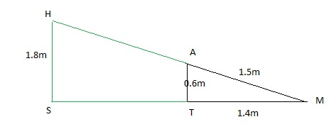 DM Triangles et droites paralleles