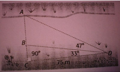 trigo sohcahtoa