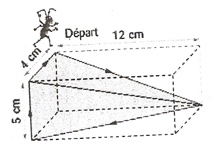 Pyramide dans un pav� droit