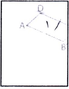 Parall�logramme