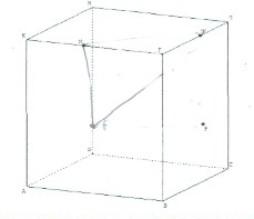 Dm maths 