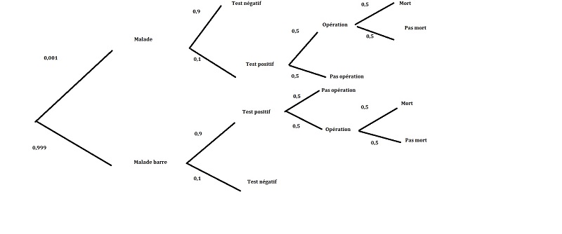 Probabilités et prise d\'initiative