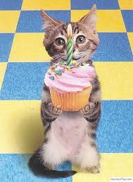 Bon anniversaire co11