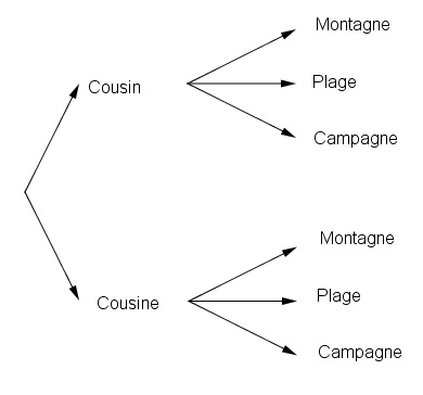 Probabilité 3ème