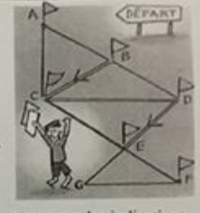 Triangle rectangle, m�diane, droites parall�les