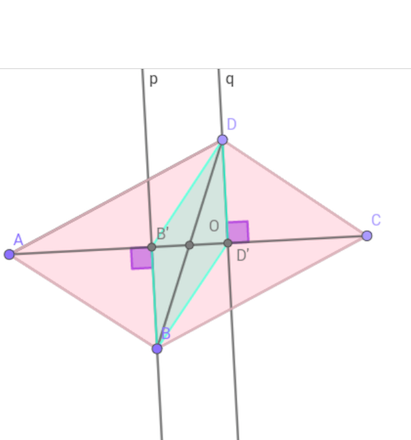 DM Paralllogramme et symtrie et triangles gaux