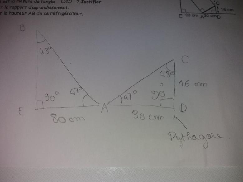 Agrandissements/R�ductions/Angles/Hauteur