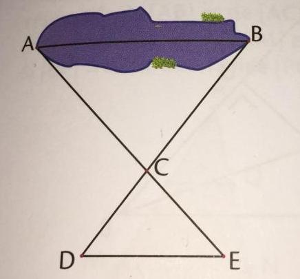 Triangles semblables