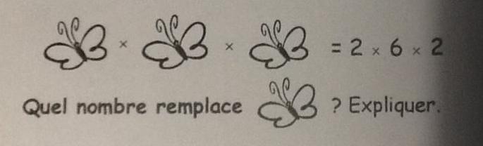 Quel nombre remplace  le papillon