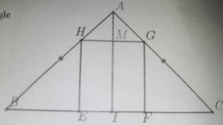 Dm polynome et triangle