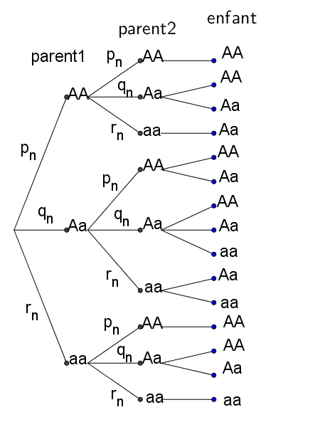 probabilit� conditionelle