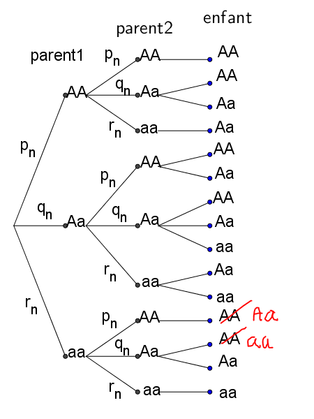 probabilit� conditionelle