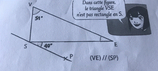 Triangle rectangle 