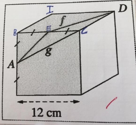 DM Pythagore Fourmis sur un cube