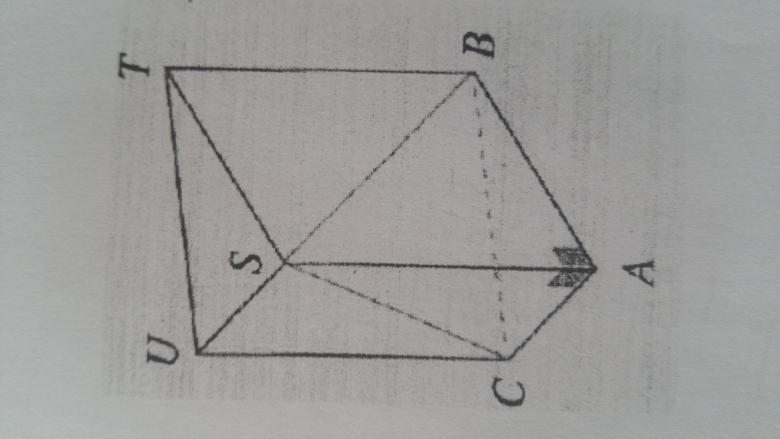 DM pythagore dans un prisme( partie 3)