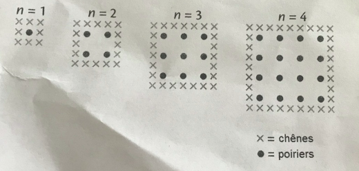 Un fermier plante des poiriers en carr�