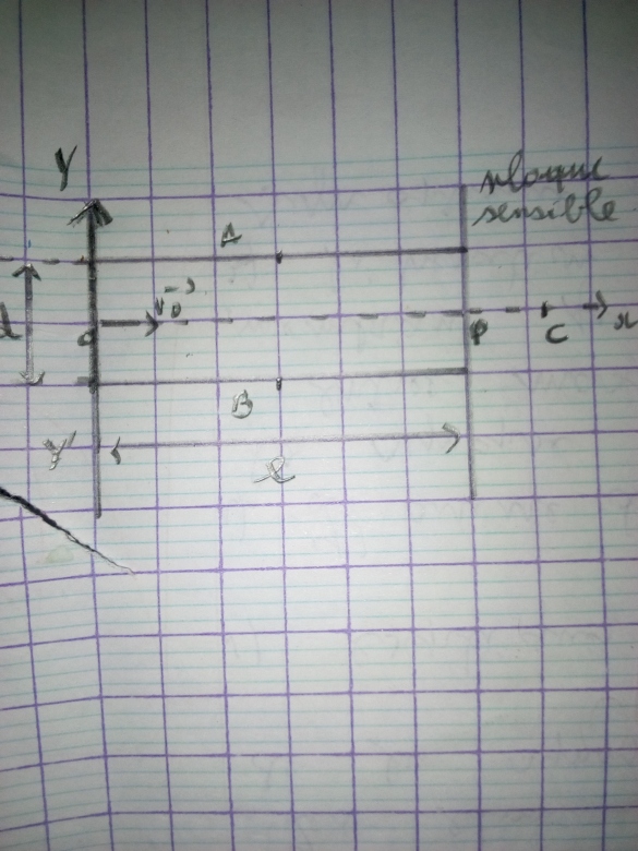 mouvement dans le champ g et E uniforme 