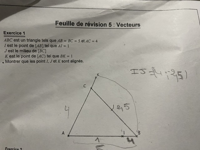 DM maths Vecteurs 