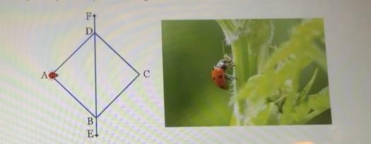 Problme de mathmatique 