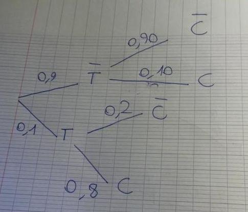 DM: Probabilité 