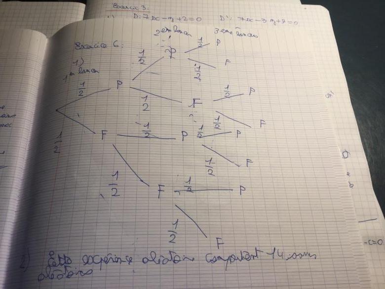 Exercice: Probabilité Branche