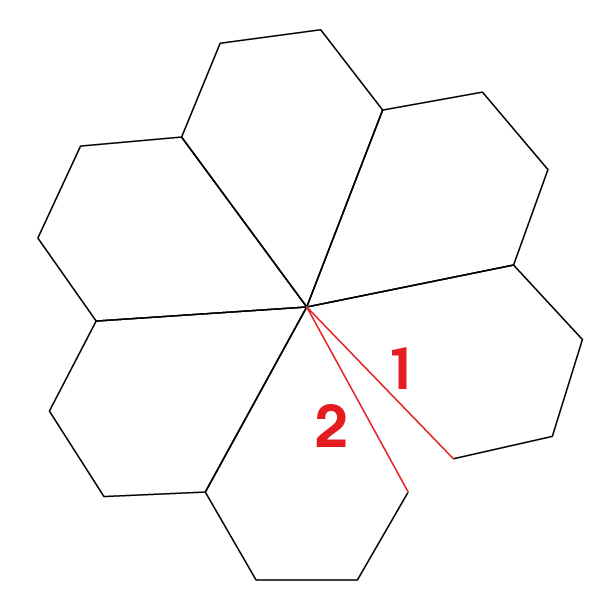 Les polygones d\'un dual pentaki-dodcadre adouci 