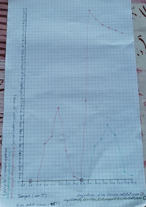 Graphique