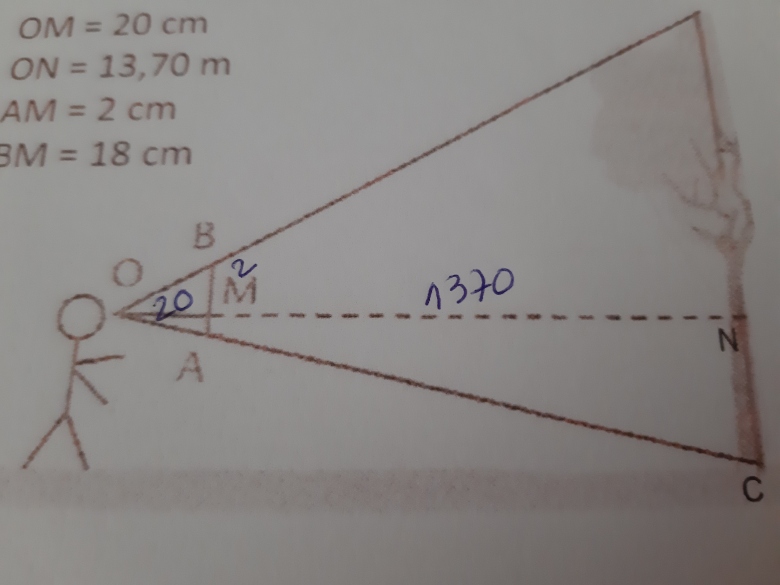 Question sur hauteur d\'une arbre