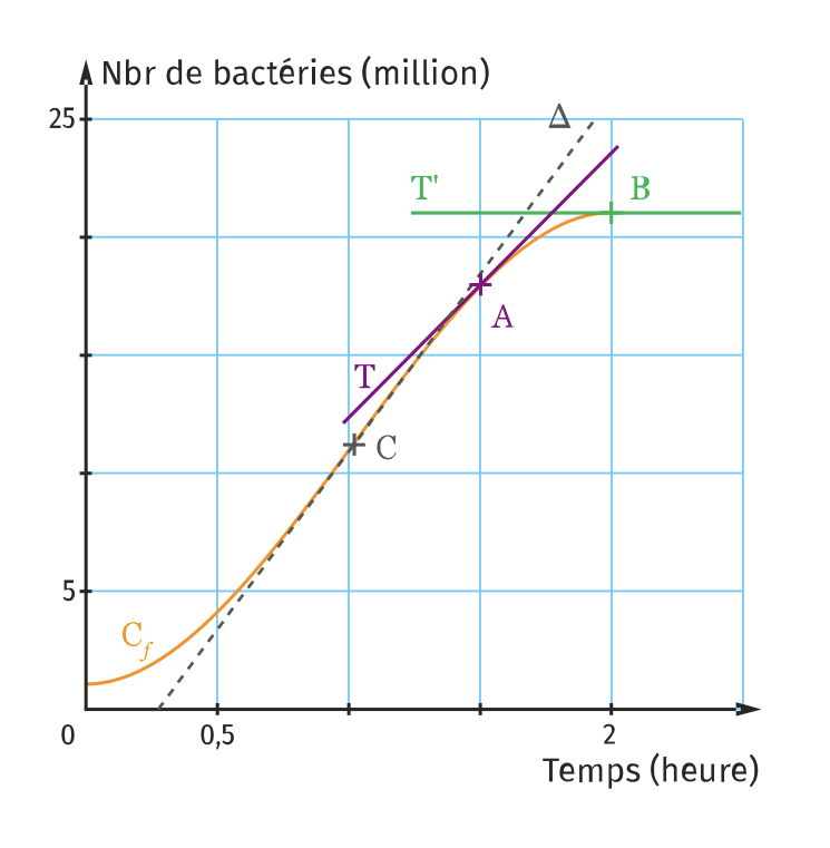 Évolution d’une population de bactérie 